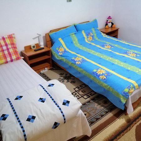 Apartament Rustic House Turnu Măgurele Zewnętrze zdjęcie