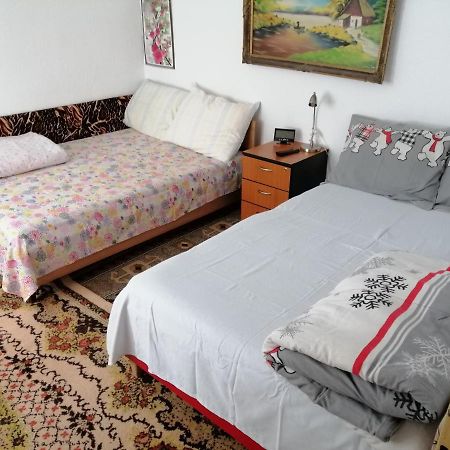 Apartament Rustic House Turnu Măgurele Zewnętrze zdjęcie