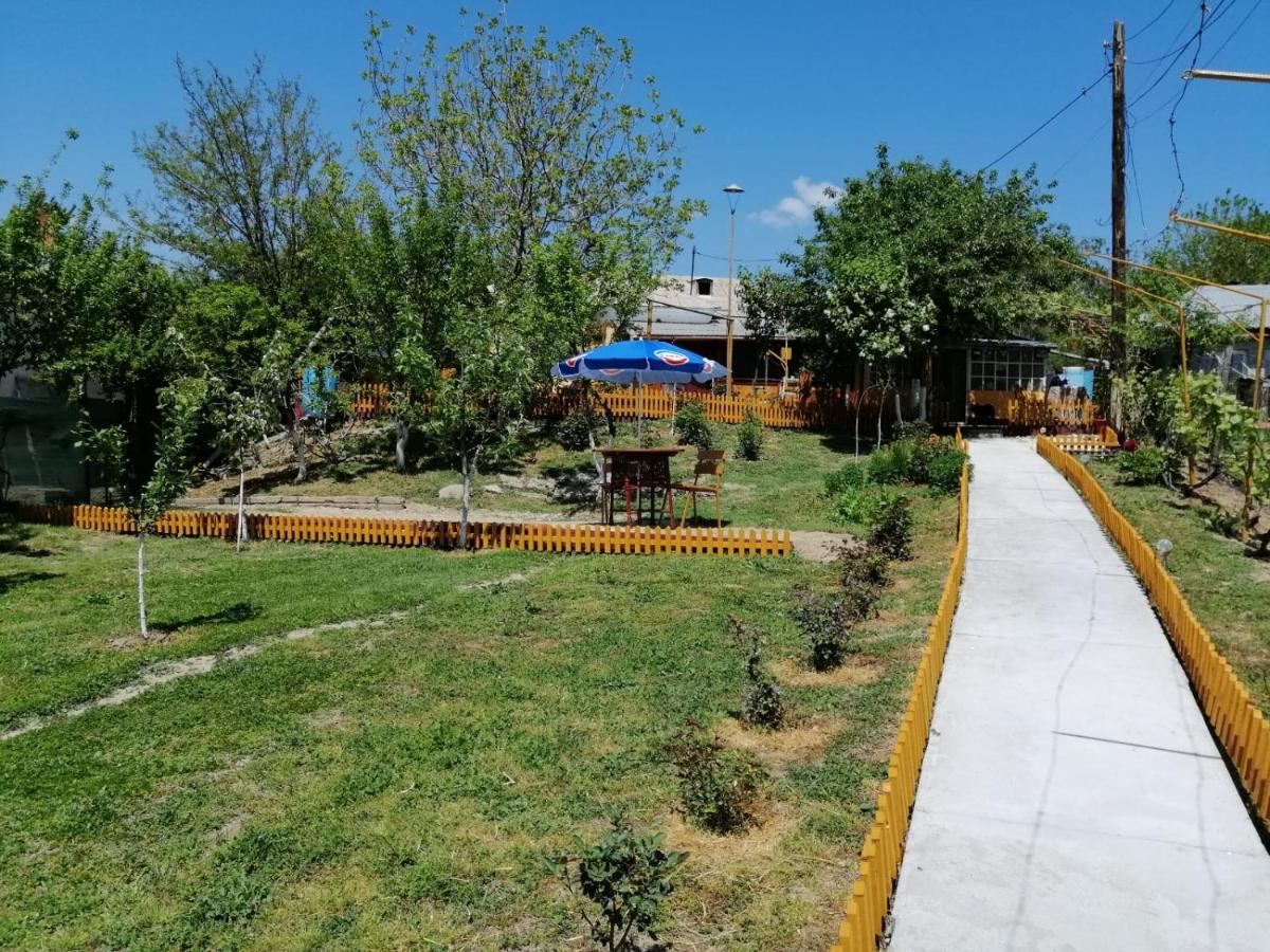 Apartament Rustic House Turnu Măgurele Zewnętrze zdjęcie