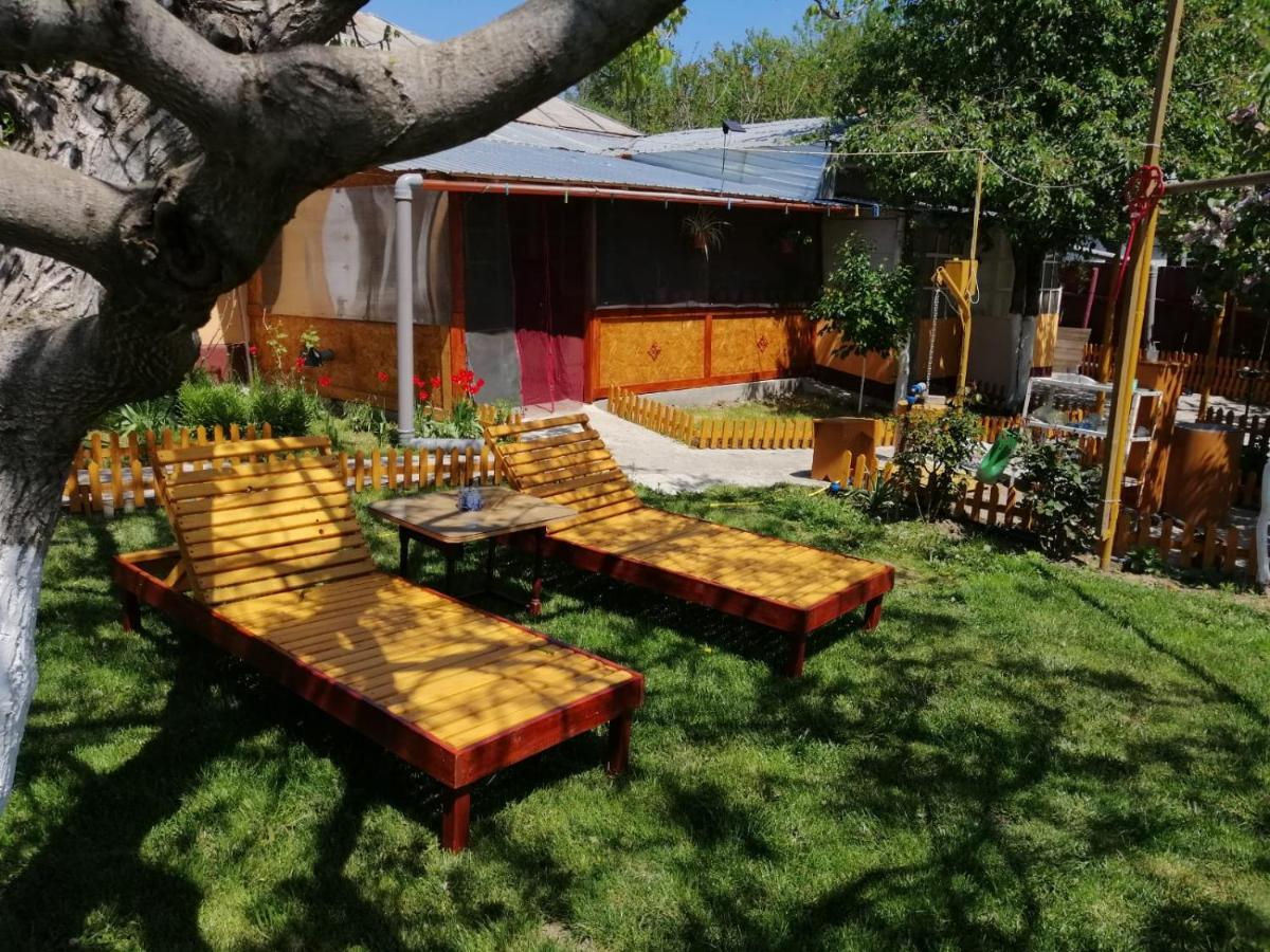 Apartament Rustic House Turnu Măgurele Zewnętrze zdjęcie