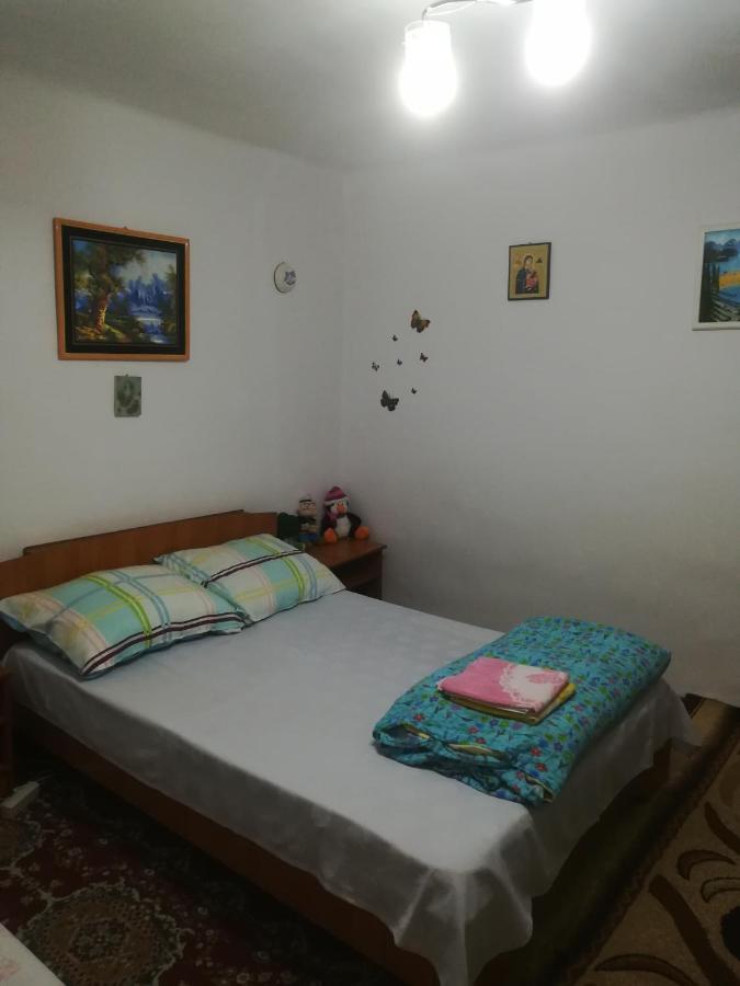 Apartament Rustic House Turnu Măgurele Zewnętrze zdjęcie
