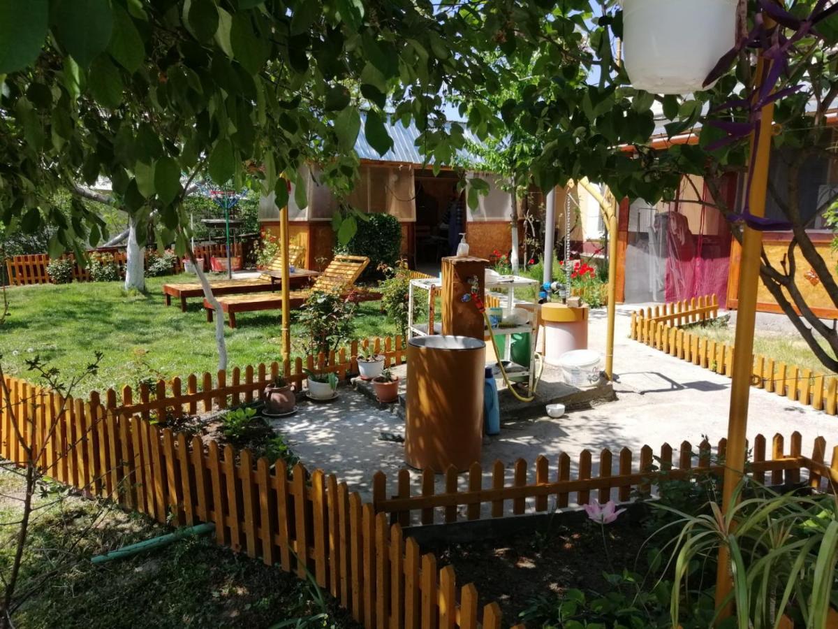 Apartament Rustic House Turnu Măgurele Zewnętrze zdjęcie