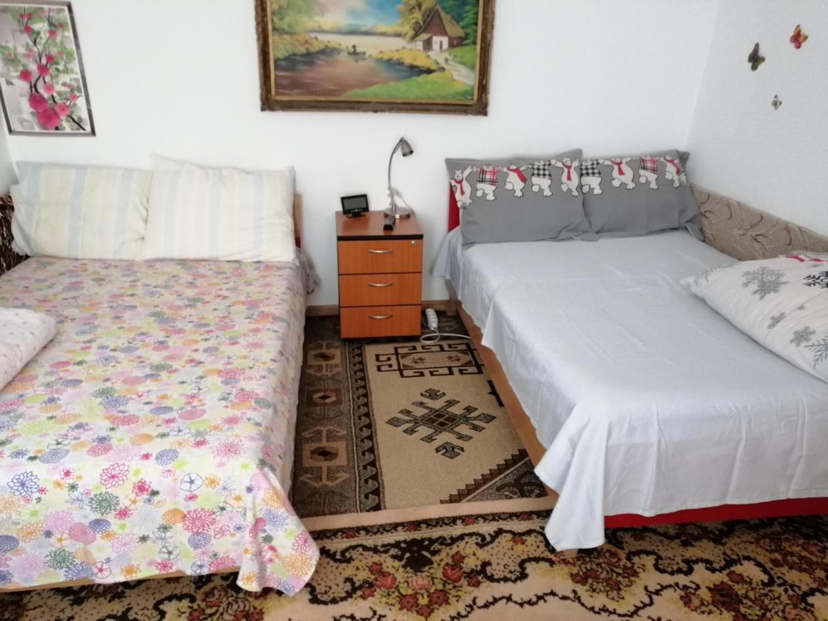 Apartament Rustic House Turnu Măgurele Zewnętrze zdjęcie