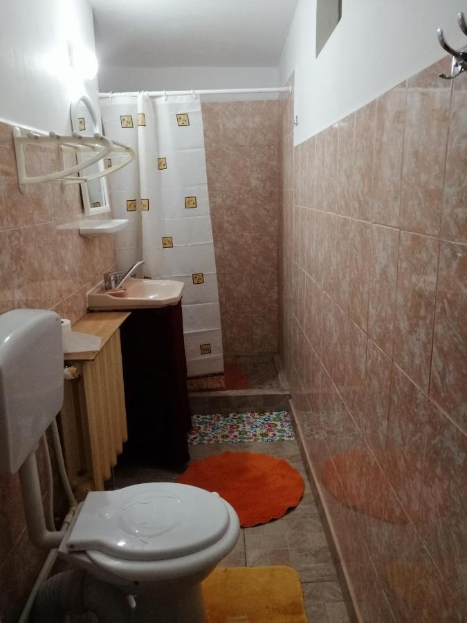 Apartament Rustic House Turnu Măgurele Zewnętrze zdjęcie
