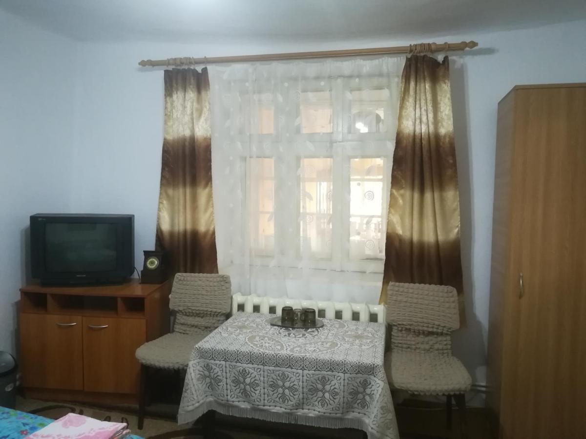 Apartament Rustic House Turnu Măgurele Zewnętrze zdjęcie